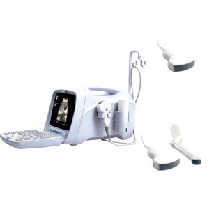 Ultrasonido C40 con 1 transductor convexo